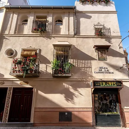 Apartamento C2 With Terrace In The Arenal, Cathedral